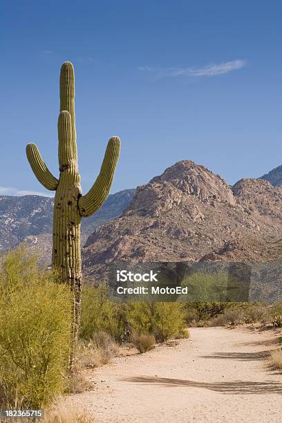 Paisagem Do Desertomontanhas Cato Com 1 - Fotografias de stock e mais imagens de Ao Ar Livre - Ao Ar Livre, Arizona, Artemísia