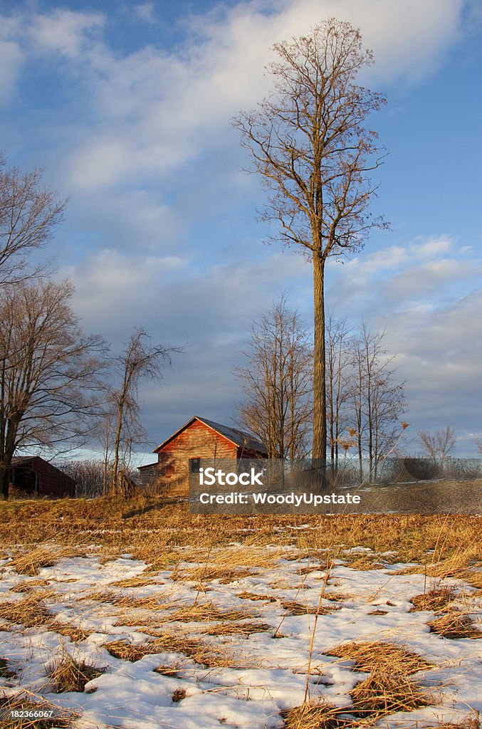 Paisagem Rural de Inverno - Royalty-free Abandonado Foto de stock