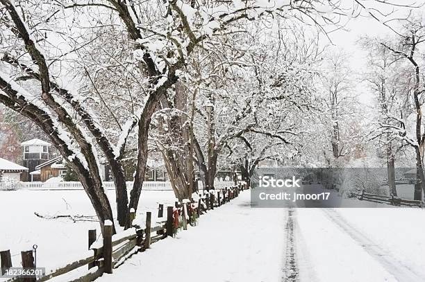 Neve Coperta Nel Parco Di Sezioni Stradali - Fotografie stock e altre immagini di Albero - Albero, California settentrionale, Composizione orizzontale