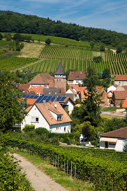 Santo Stefano Belbo, Langhe, Piedmont