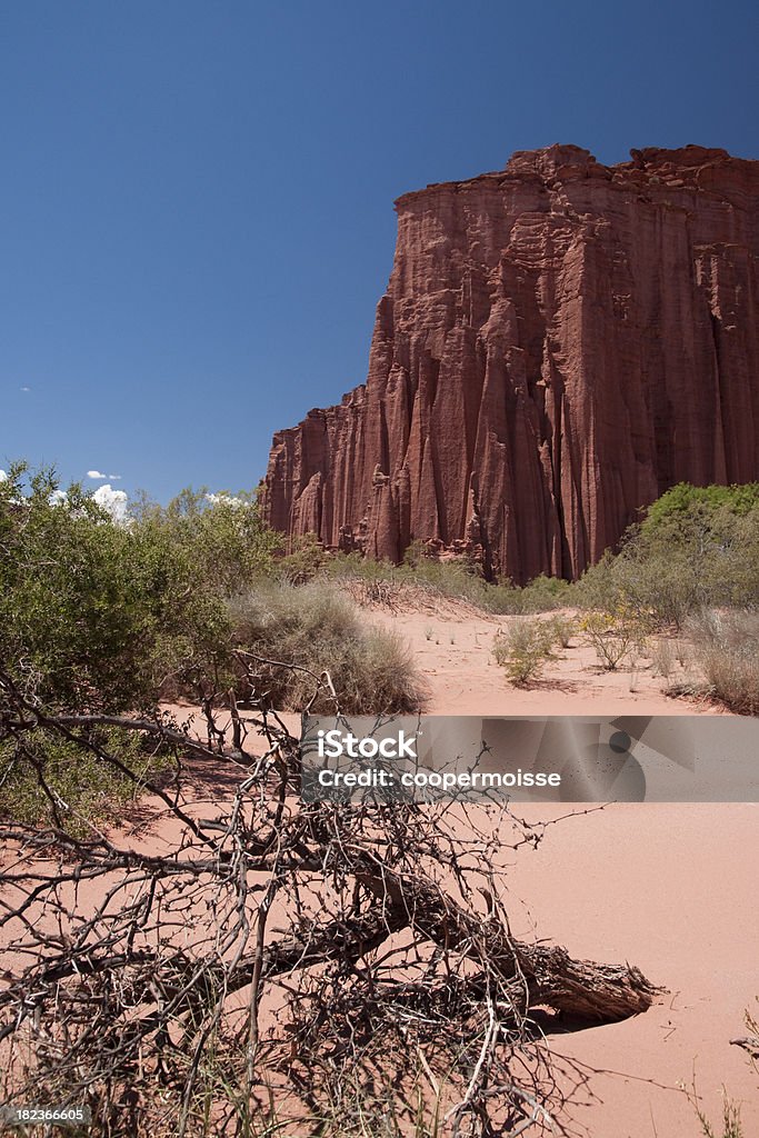 Catedral Rock e Dead Thorn árvore, Talampaya National Park, Argentina - Foto de stock de Arbusto espinheiro royalty-free