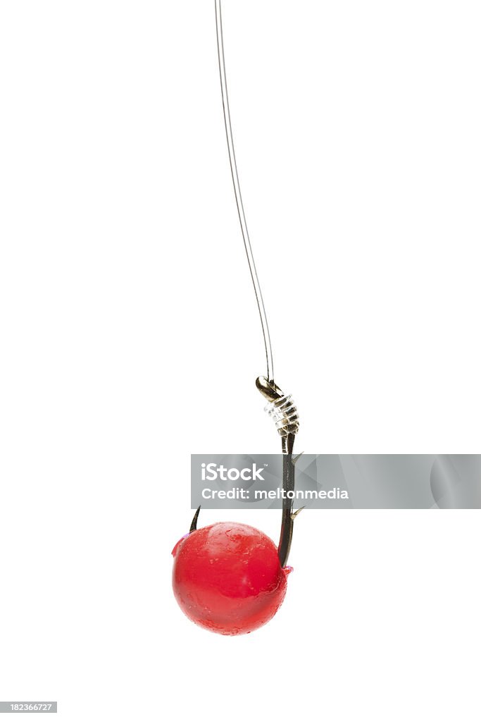 Fishing Hook Fishing hook and salmon egg. Salmon Egg Stock Photo