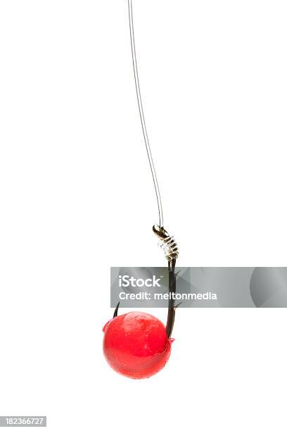 Fishing Hook Stock Photo - Download Image Now - Salmon Egg, Incentive, Fishing Hook