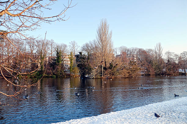 Photo of Suburban lake with snow and hungry birds