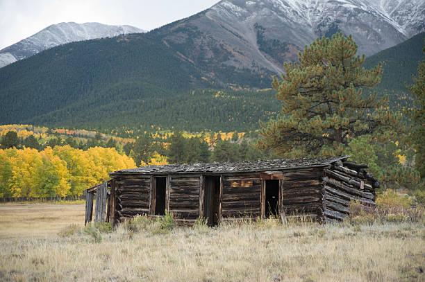 Old Log Cabin in Fall "An old miner's cabin made from logs at the turn of the century is situated at the base of 14,197 foot Mount Princeton in the Collegiate Peaks range of the Rocky Mountains, outside Buena Vista, Colorado. This shot is particularly scenic, as it was taken at the height of Fall, with golden aspens in the background and the slopes of Mount Princeton covered with a dusting of early snow." miners cabin stock pictures, royalty-free photos & images