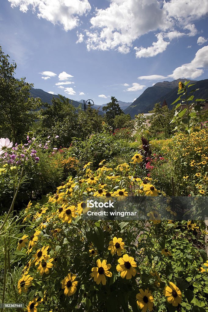 jardim de flor em tirol - Foto de stock de Ajardinado royalty-free