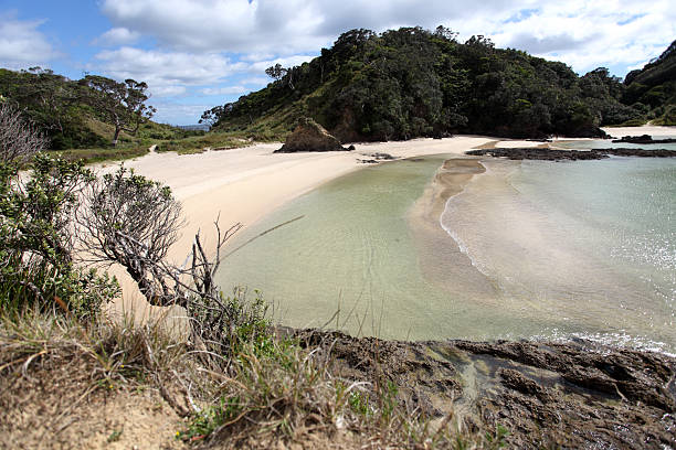 istock New Zealand View 182367497