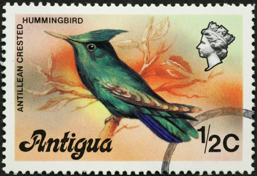 Postage stamp of bird