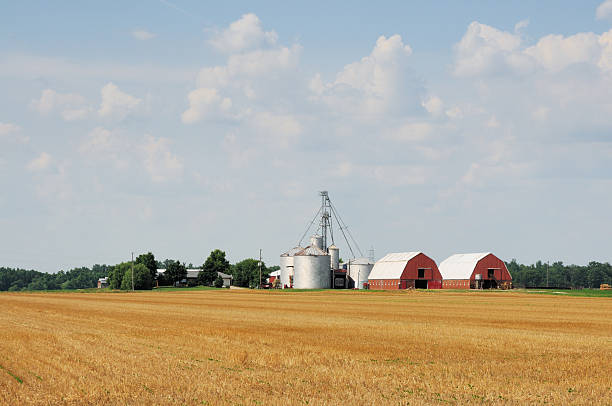 istock Wheat field with red barn and silos in Indiana 182367802