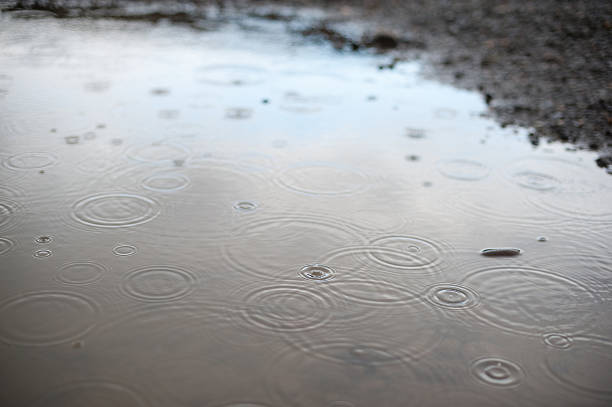 raindrops in a puddle stock photo
