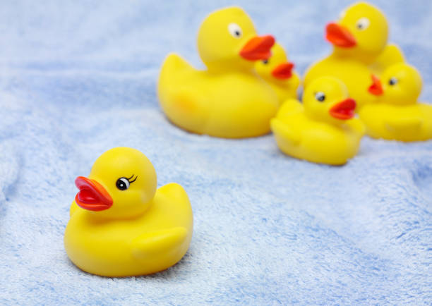 istock Family of Rubber Ducks 182368626