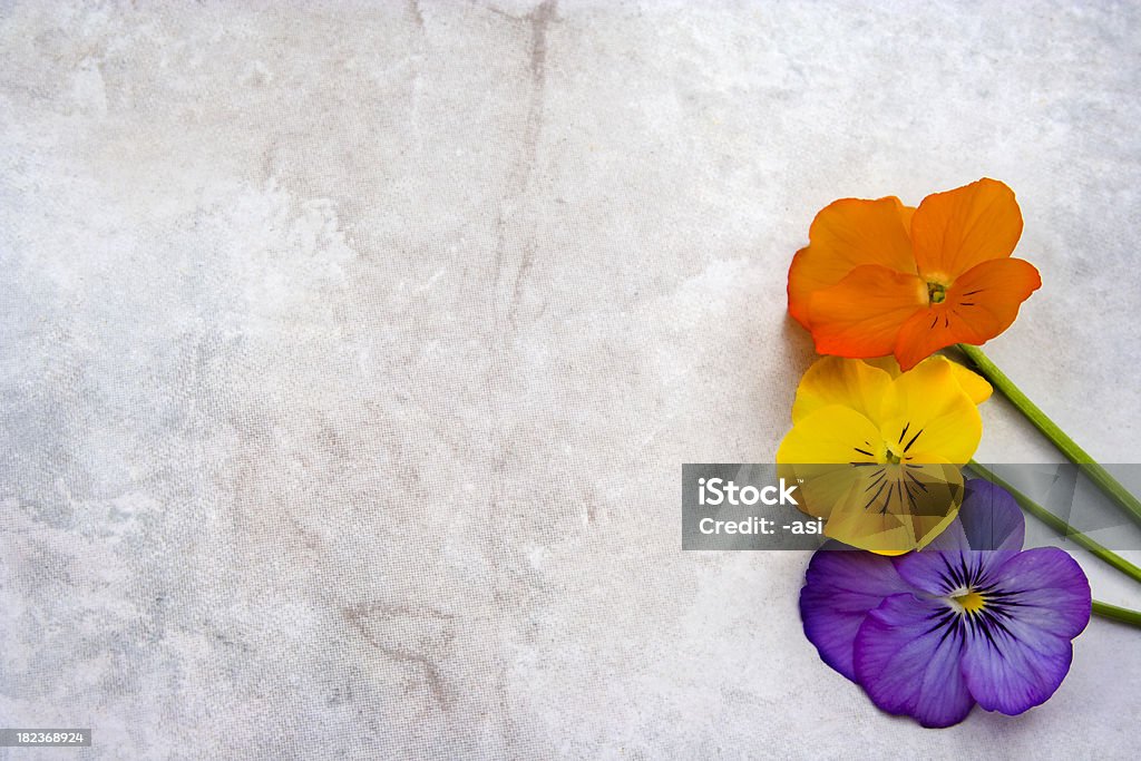 Цветы в стиле гранж Текстурированные мраморной - Стоковые фото Без людей роялти-фри