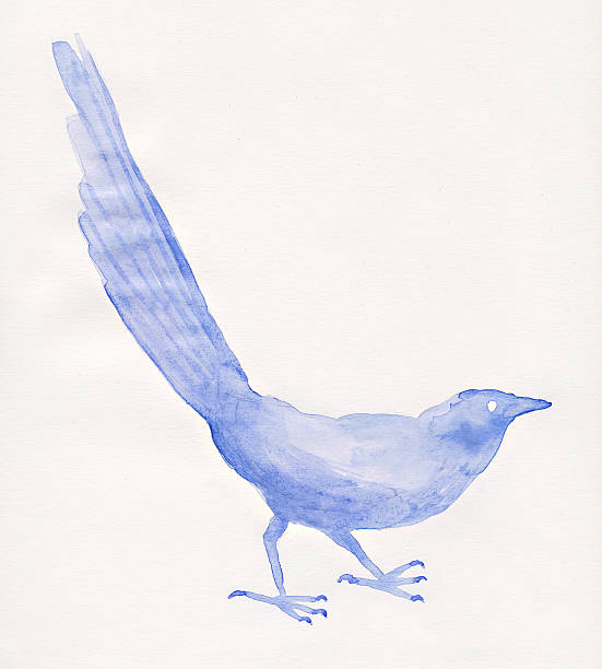 Painted watercolor bird stock photo