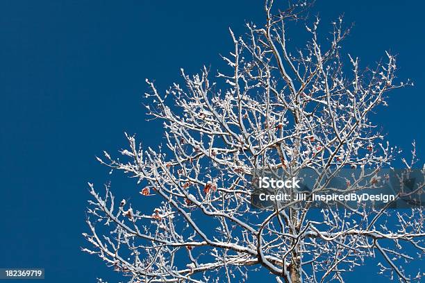 Foto de Após Uma Tempestade De Inverno Fresco e mais fotos de stock de Abstrato - Abstrato, Azul, Beleza natural - Natureza