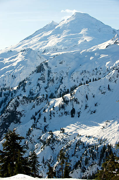 Mount Baker-WA - foto stock