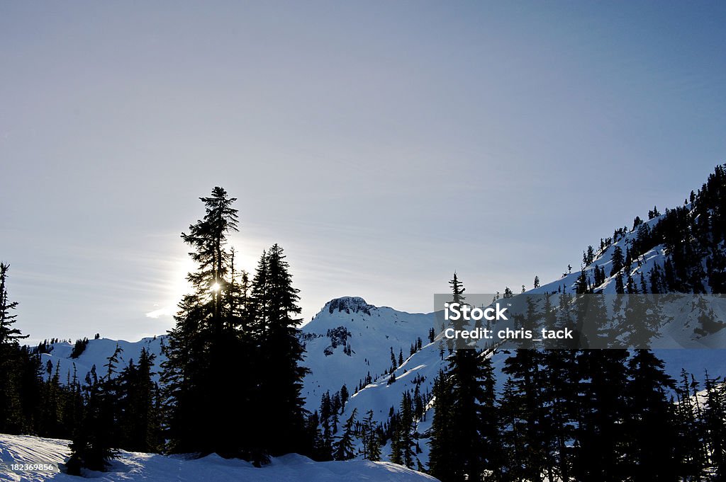 montaña - Foto de stock de Abeto Picea libre de derechos