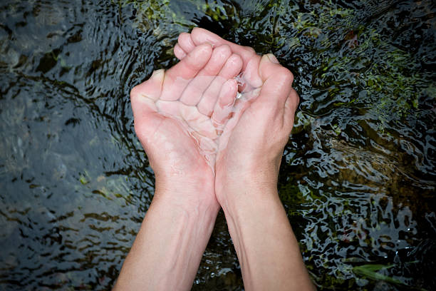 istock Gift of Life 182370253