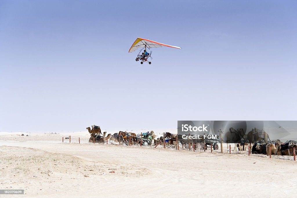 Microlight over Sahara Small microlight aircraft flying over the Sahara desert and a herd of camels Adventure Stock Photo