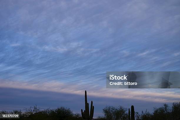 Dawn 秋の雲模様 No 5 - アリゾナ州のストックフォトや画像を多数ご用意 - アリゾナ州, アリゾナ州 フェニックス, サボテン