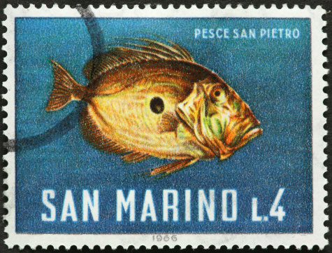 fish on old San Marion stamp
