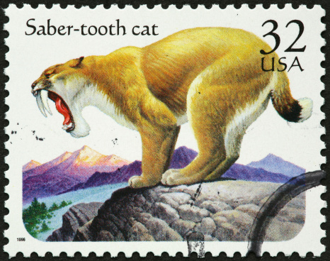 saber tooth cat