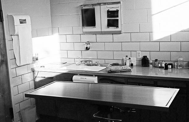 Operating room in veterinary hospital. 1959. Kodak Pan X scanned film with grain.
