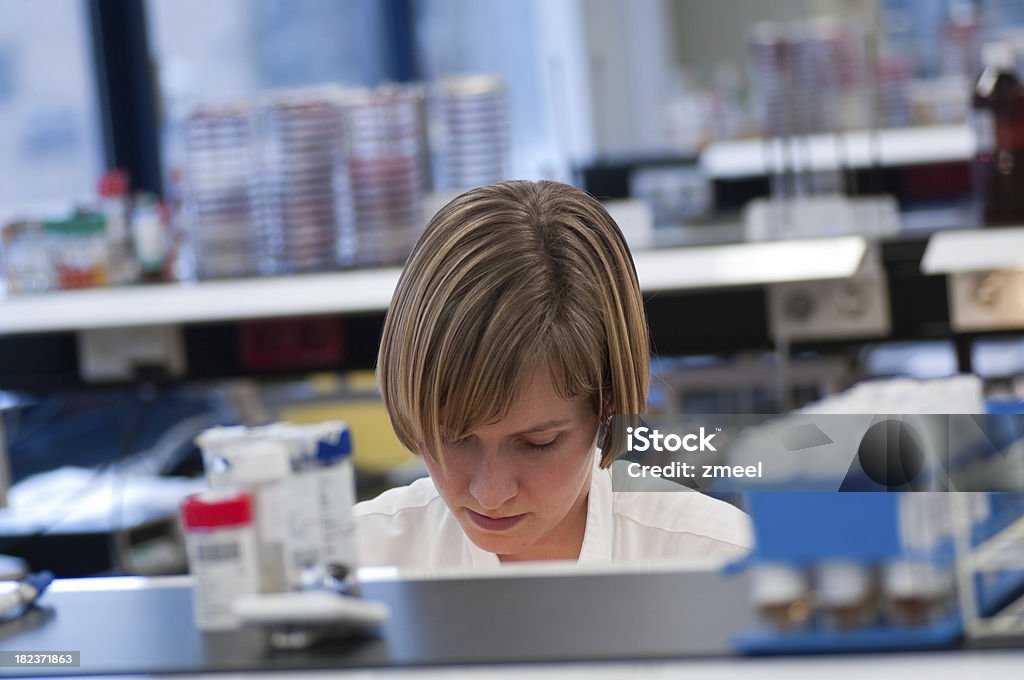 O Microbiologia laboratório - Royalty-free Adulto Foto de stock