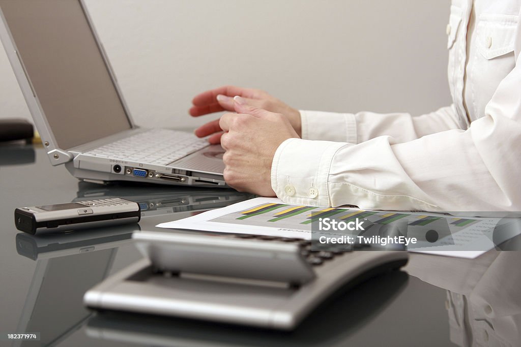 Mulher de Negócios com o notebook no escritório - Royalty-free Adulto Foto de stock