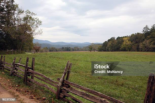 Montañas Blue Ridge Mountains Of Tennessee Foto de stock y más banco de imágenes de Aire libre - Aire libre, Appalachia, Belleza de la naturaleza