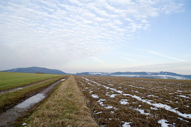 Grain Field & Dirt Road in Winter with a nice Sky.