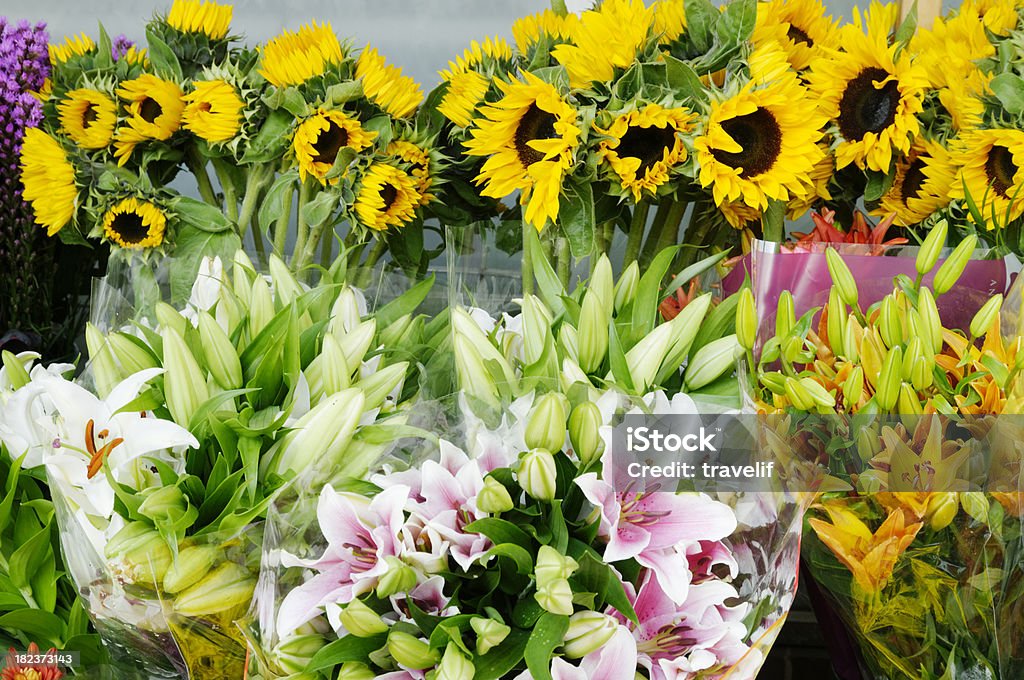 Bouquets z jesień kwiatów na sprzedaż - Zbiór zdjęć royalty-free (Aranżacja)
