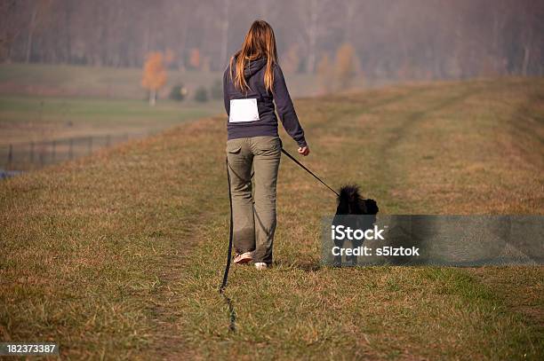 K 9 En El Trabajo Foto de stock y más banco de imágenes de En búsqueda - En búsqueda, Perro, Carretera de tierra