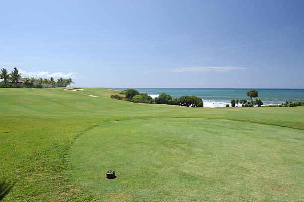 istock Beautiful golf course close to the ocean 182373647