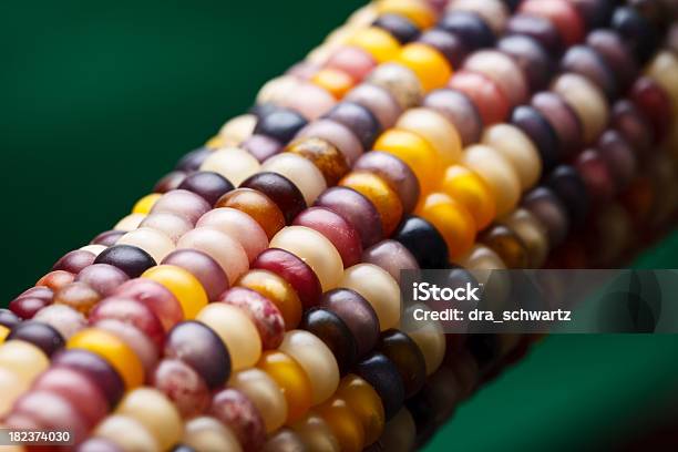 Foto de Milho e mais fotos de stock de Agricultura - Agricultura, Alimento Transgênico, Cereal