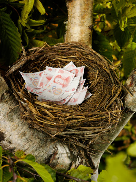 istock Chinese Yuan in a Bird's Nest 182374848