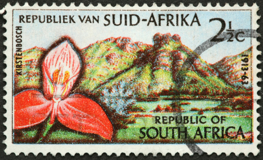South Africa flower and mountain on an old stamp