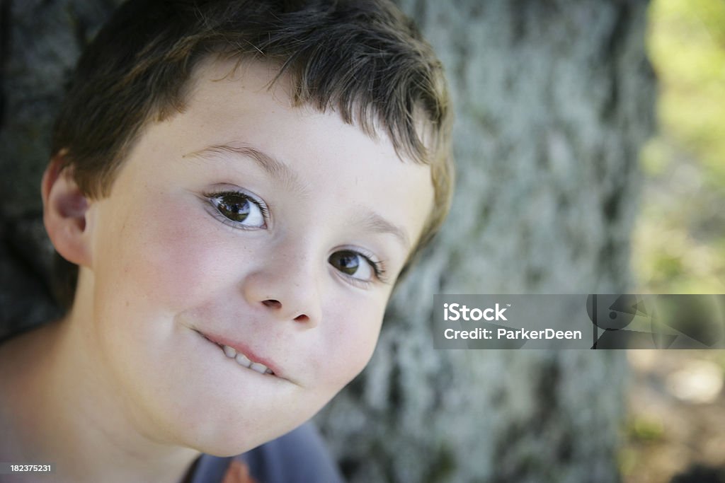 Восхитительный милый мальчик возле дерево - Стоковые фото 4-5 лет роялти-фри