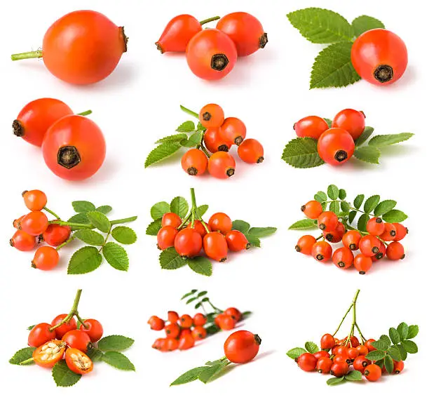 "Rose hip collection on white. This file is cleaned, retouched, two images contains"