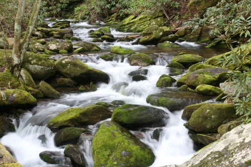 rocky creek in smokey mountain national park