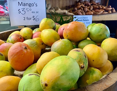 Horizontal still life of fresh picked organic summer mangoes for sale in large wood tub grocers shop in country Australia