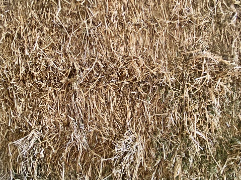 Horizontal close up full frame of a bale of horse and livestock animal feed lucerne showing patterns in straw hay in country farm stable Australia