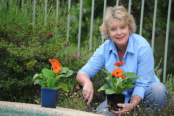 Woman Gardening stock photo