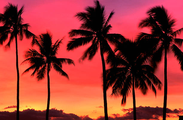 istock USA Hawaii O'ahu, sunset at Magic Island, Ala Moana Park. 182376049