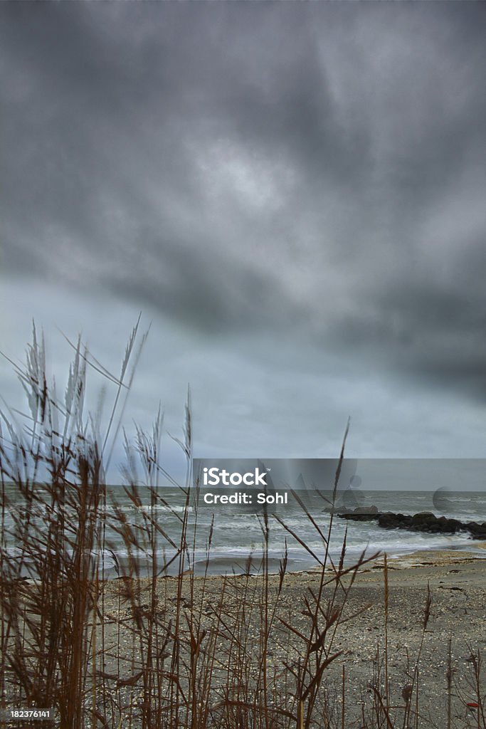 Danish beach-HDR - Foto de stock de Ajardinado royalty-free