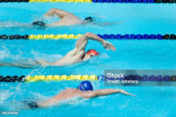 Foto de Natação e mais fotos de stock de Esporte - Esporte, Exercício físico, Vitalidade