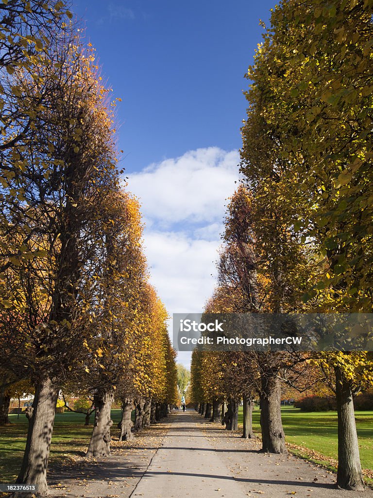 Kings jardín en Copenhague - Foto de stock de Copenhague libre de derechos