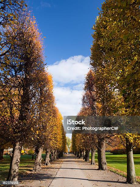 Kings Jardín En Copenhague Foto de stock y más banco de imágenes de Copenhague - Copenhague, Otoño, Aire libre