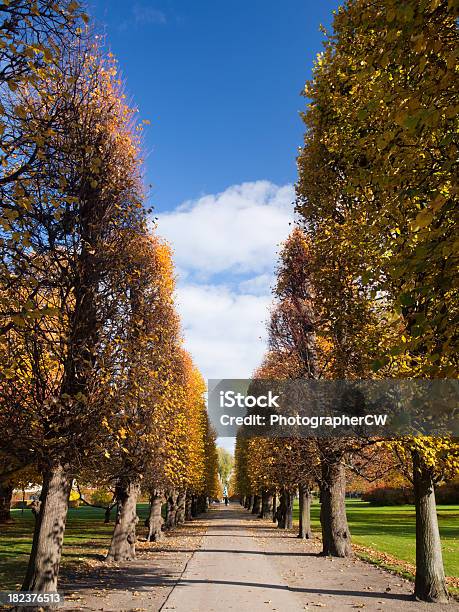 열왕기 정원 코펜하겐에서는 가을에 대한 스톡 사진 및 기타 이미지 - 가을, 코펜하겐, 공원