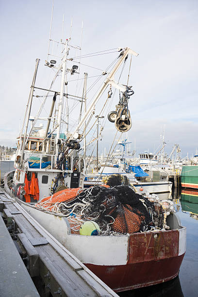 istock Net Piled on Aft Deck of Purse Seine Boat 182376726