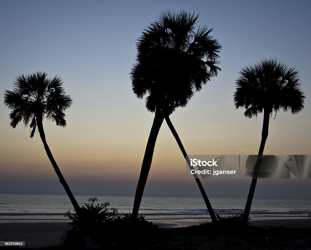 Palm Letter "W" Silhouette of four palm trees in front of the beach at sunrise form the letter W. Letter W Stock Photo